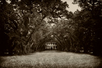 Ghosts of Pain and Pleasure- Nola-LisaDuBois©