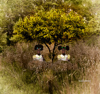 Yoruba Twins