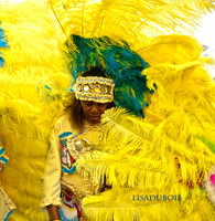 Creole Wild West Indians LisaDuBois©