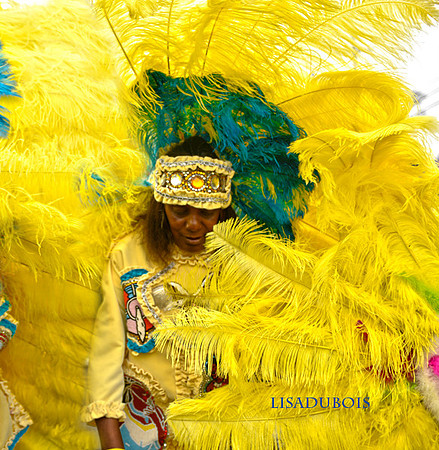 Creole Wild West Indians LisaDuBois©
