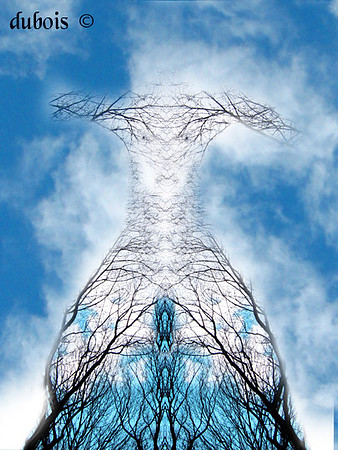 blue cloudy skies (15v) copy