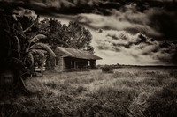 Ghosts of Pain and Pleasure- Nola-LisaDuBois©