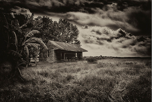 Ghosts of Pain and Pleasure- Nola-LisaDuBois©