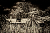 Ghosts of Pain and Pleasure- Nola-LisaDuBois©
