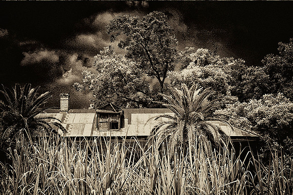 Ghosts of Pain and Pleasure- Nola-LisaDuBois©