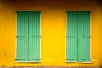 Lime green and Canary Yellow LisaDuBois©