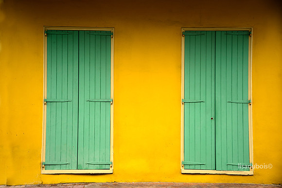 Lime green and Canary Yellow LisaDuBois©